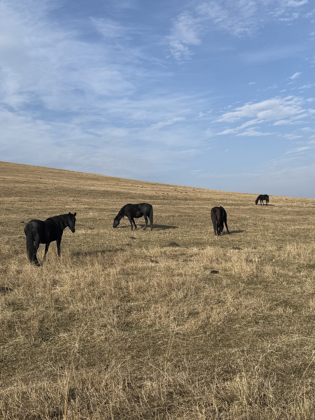 Очень рада, что получилось попасть на плато Бермамыт на закате. Нереально красивое место! А наш гид-водитель