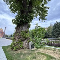 Фото отзыва 2: экскурсия "От нулевого километра — к дому Павлова"