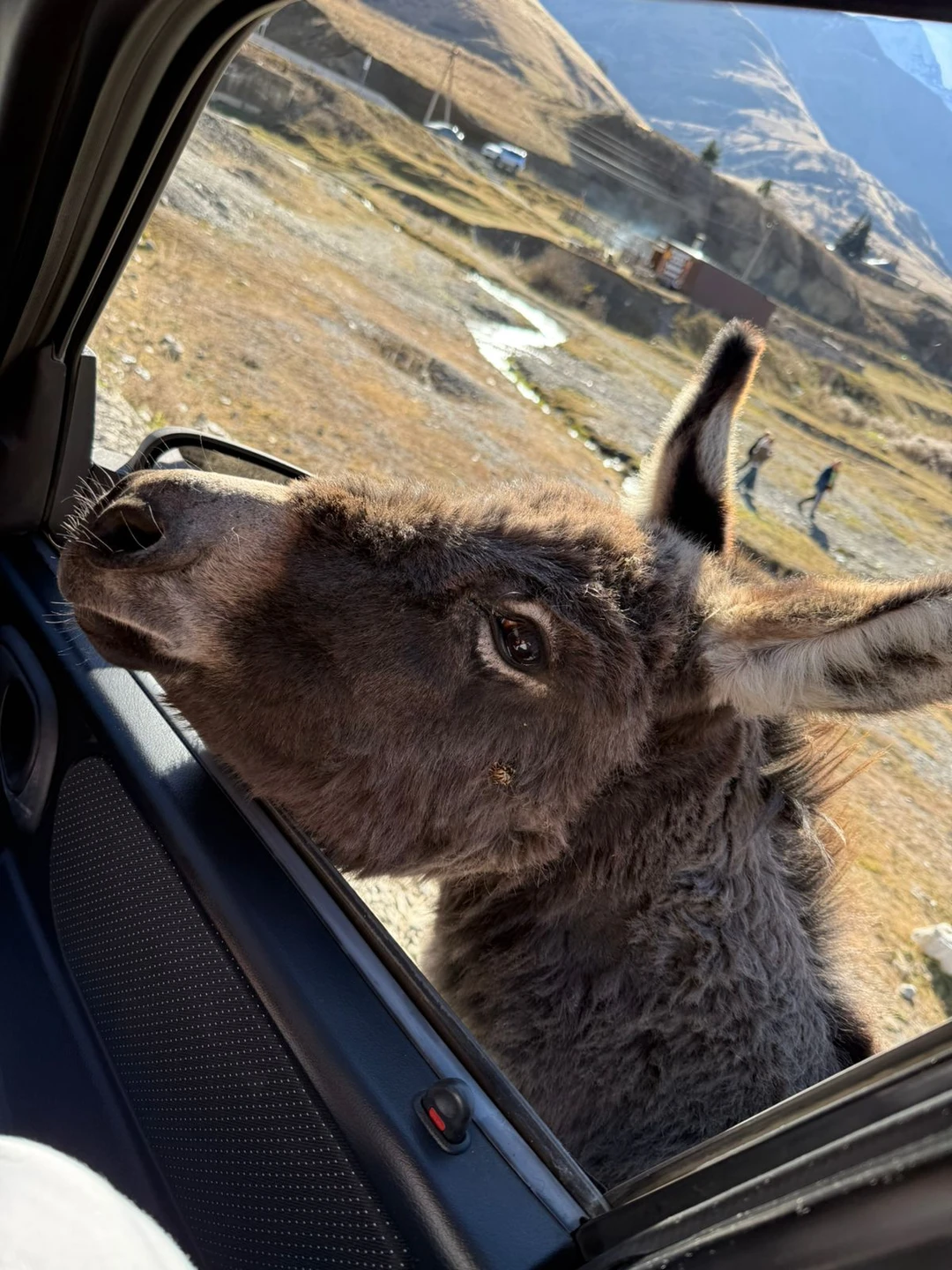 Гид Марсель провел экскурсию на высочайшем уровне. Понравилось абсалютно все,от локаций до рассказов про историю республики