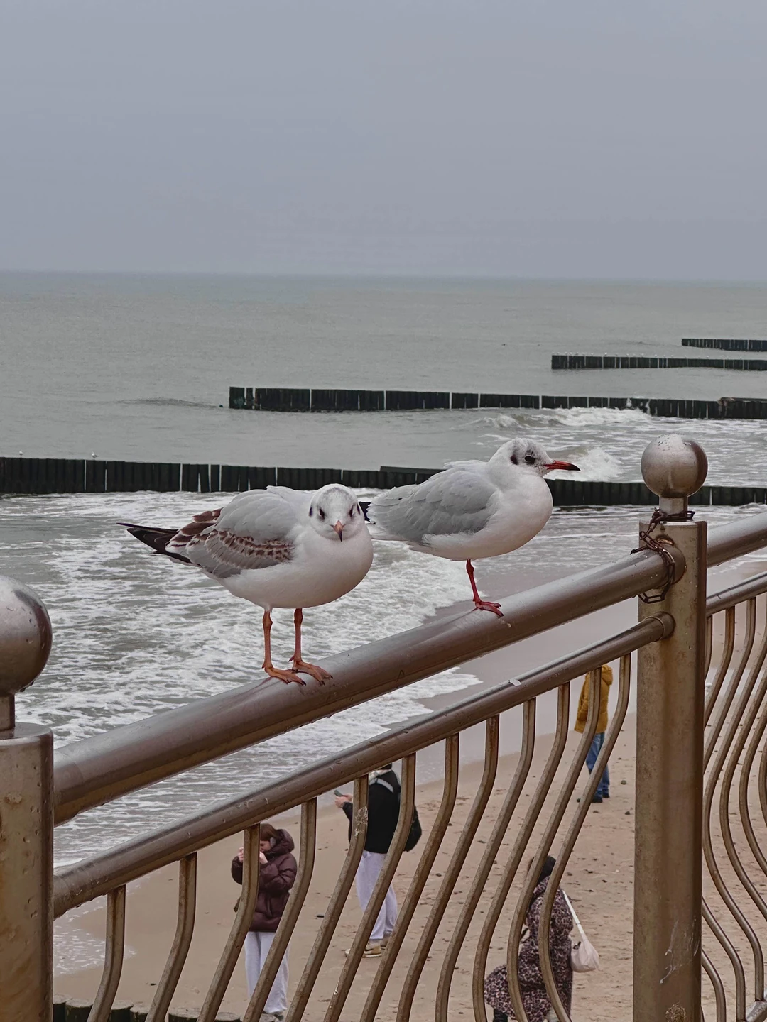 были на индивидуальной экскурсии с Антоном 29 ноября, остались в восторге🙏🏼