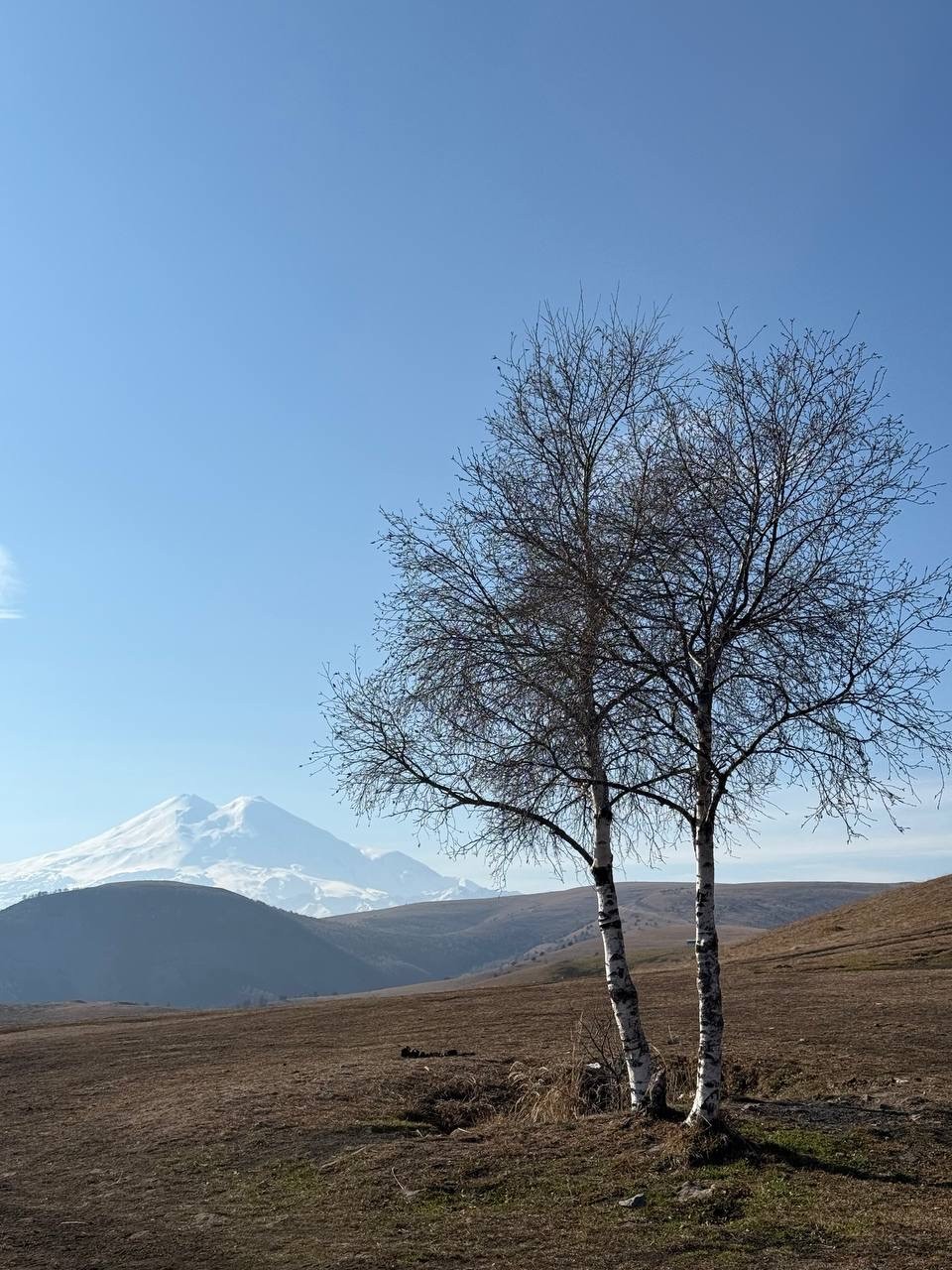 Настоящий восторг и море эмоций 😍