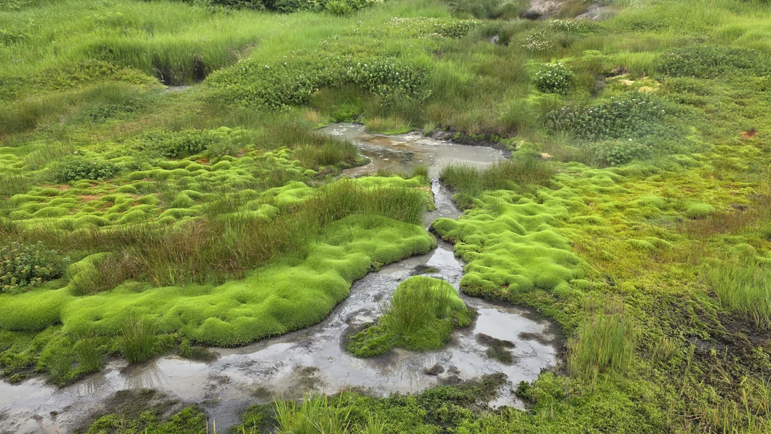 Потрясающее путешествие! Организация на высшем уровне. Спасибо гидам Александру и Юрию за незабываемые впечатления! А так