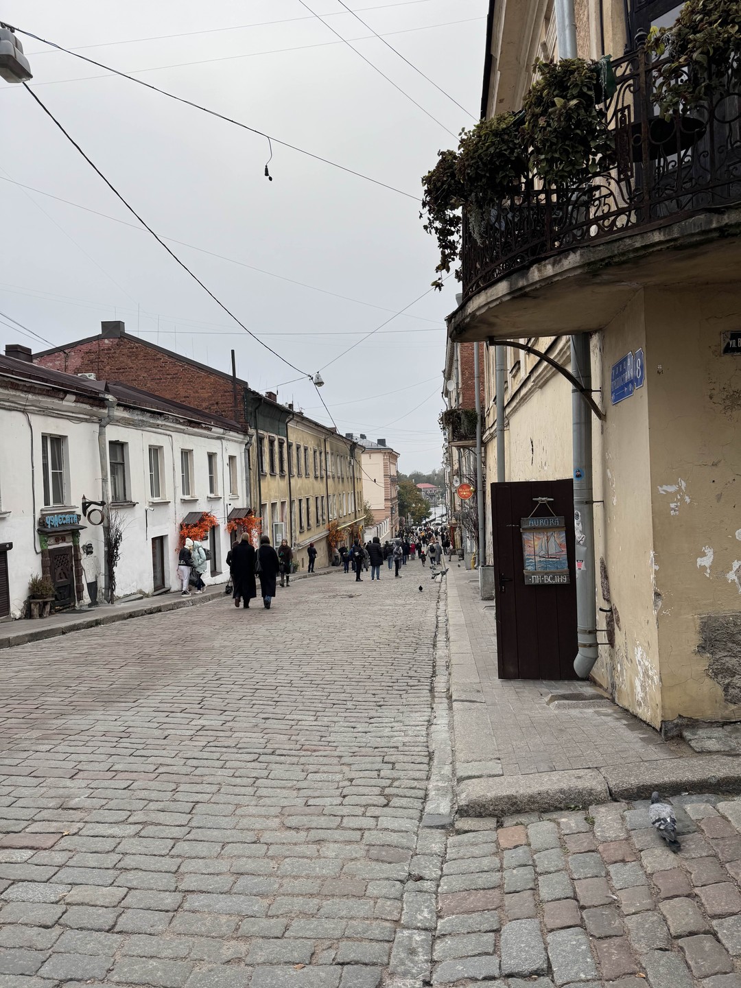 Из Петербурга - в Выборг, шведское сердце России (Александра)