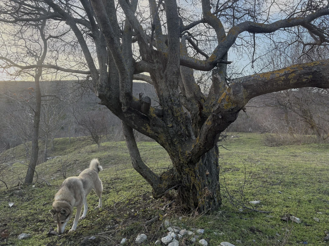 спасибо Юлие за экскурсию! ей удалось заинтересовать не только гостей города, но даже человека, который несколько