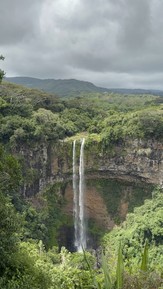 Фото отзыва 3: экскурсия "Мистический юг и сердце Маврикия"