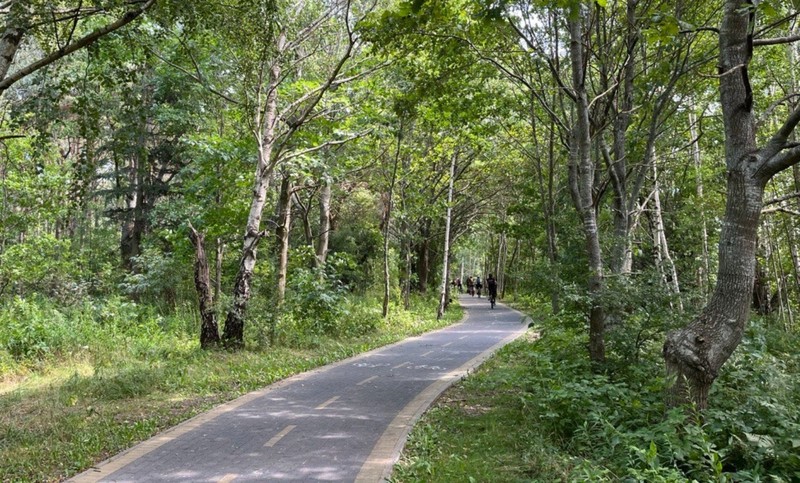 Велопрогулка по Куршской косе