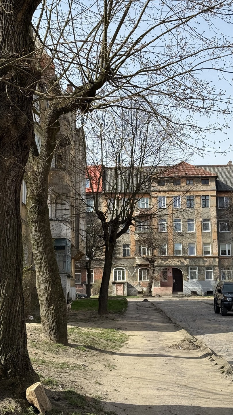 Открыть Черняховск с коренным жителем (Ирина)