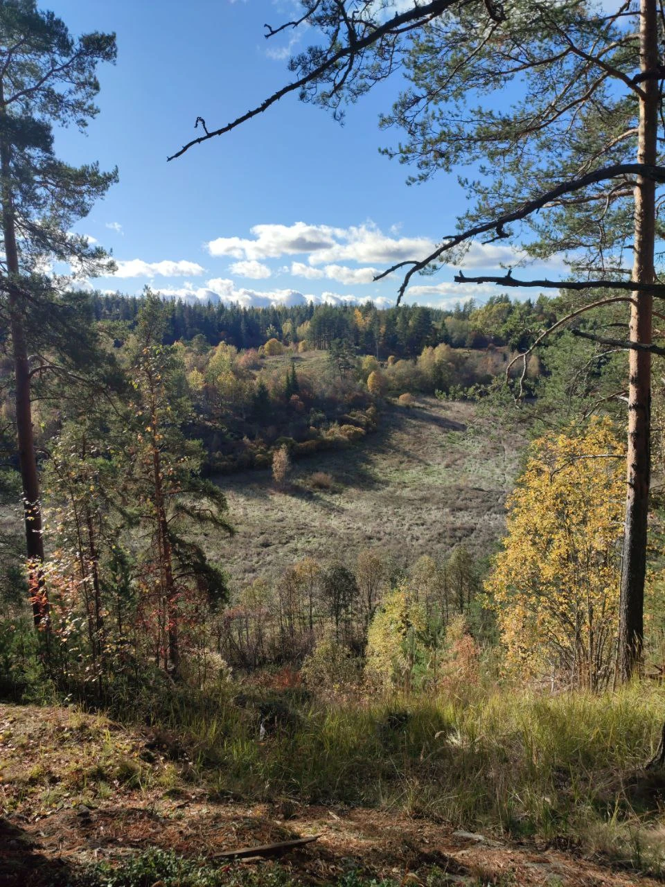 Оформил тур по местам силы в Карелии, оперативно связались, подтвердили бронь, вечером перед поездкой вовремя прислали