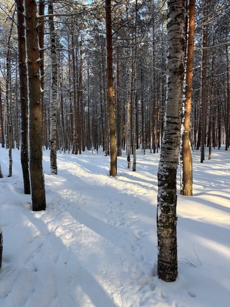 Невероятно интересная и познавательная экскурсия, Сергей замечательный рассказчик и кладезь полезной информации. Отправляясь с подругой на