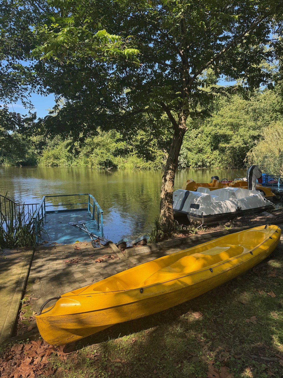 Для тех кто любит активный отдых, особенно водные и вело-прогулки. Все прошло отлично, увлекательно и в