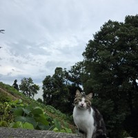 reviews img