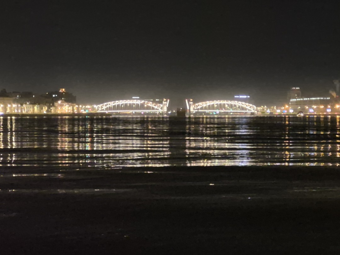 Пять разводных мостов - на теплоходе с гидом (Ольга)