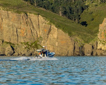 Живописные бухты: Дельфин, Звёздная и Малая Звёздная, бухта Гальцева