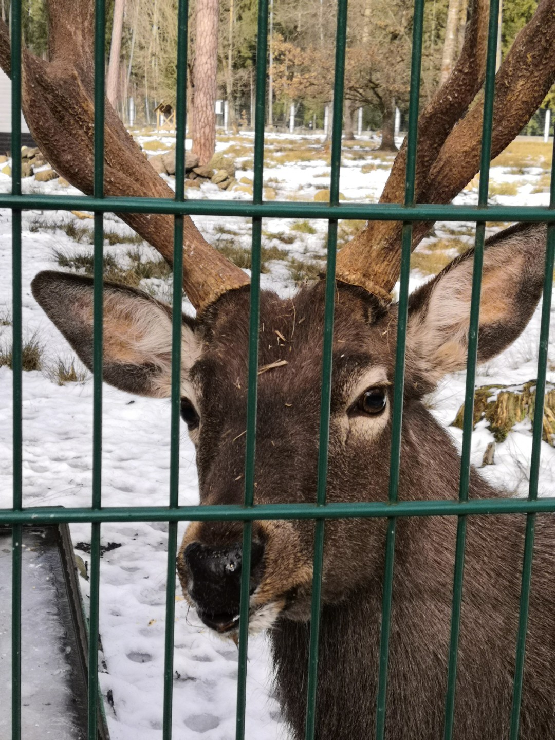 Спасибо огромное Екатерине за чудесную экскурсию! Очень рады, что выбрали именно ее формат! Дети и взрослые