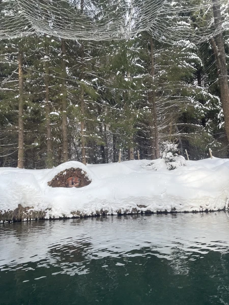 Потрясающе‼️ Организация, трансфер из Нижего до базы, сплав, обед и возвращение в Нижний, все было на