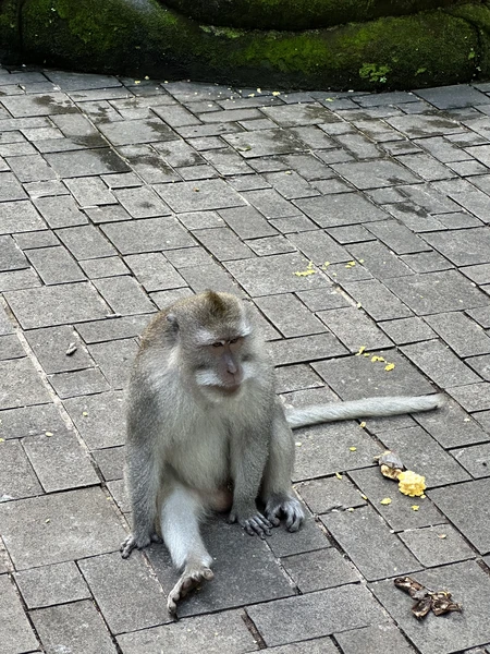 Прекрасно организованная экскурсия. Полная и насыщенная программа. Все четко по времени и без задержек. Осталась полностью