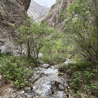Фото отзыва 3: экскурсия "Чимганские горы, курорт Амирсай, водопады «Фата невесты», Пальтау и Чарвакское водохранилище"
