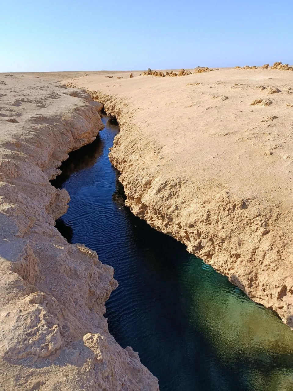 Отличный день в компании с Мустафой. Экскурсия по заповеднику, коралловая стена, которую не увидеть без сопровождения