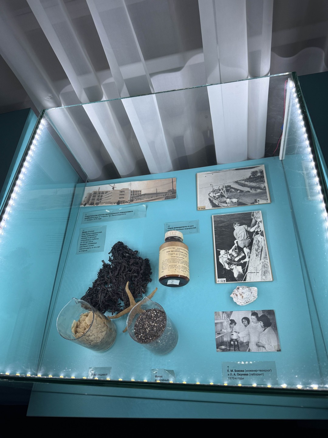 Нам экскурсия очень понравилась. Узнали много нового. Сам музей небольшой, но рассказ гида Александры был очень