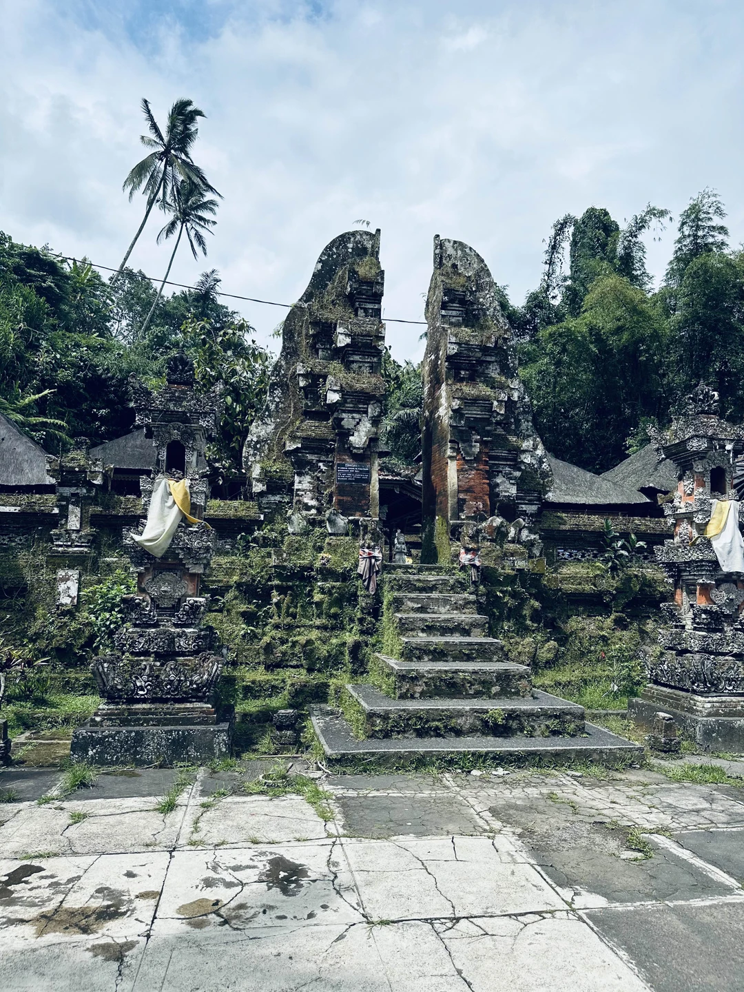 Сердце Бали: живописные плантации, парк птиц и краски Убуда (Venera)