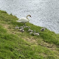 Фото отзыва 3: экскурсия "Замки Беларуси: групповая экскурсия в Мир и Несвиж из Минска"