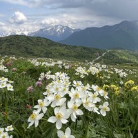 Фото отзыва 1: экскурсия "Из сказочной Дигории в Алагирское ущелье"