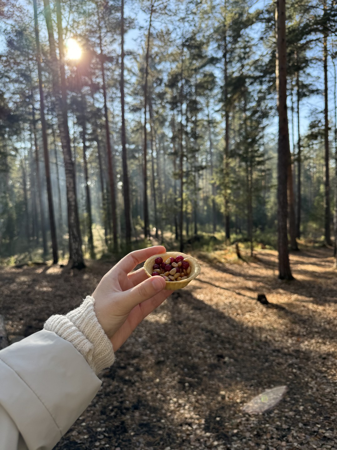 Волшебный день в Исетском лесу с гидом-волшебником Алексеем! Мы слушали тишину, терли пихту, ели шишки и