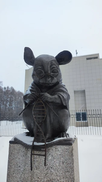 Свое увлекательное путешествие мы провели в компании с Галиной. Посетили Академгородок и конечно же великолепный Томск