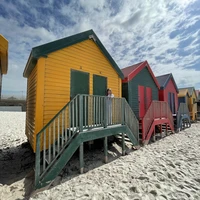 Фото отзыва 3: экскурсия "Все краски Кейптауна: путешествие вокруг мыса Доброй Надежды"