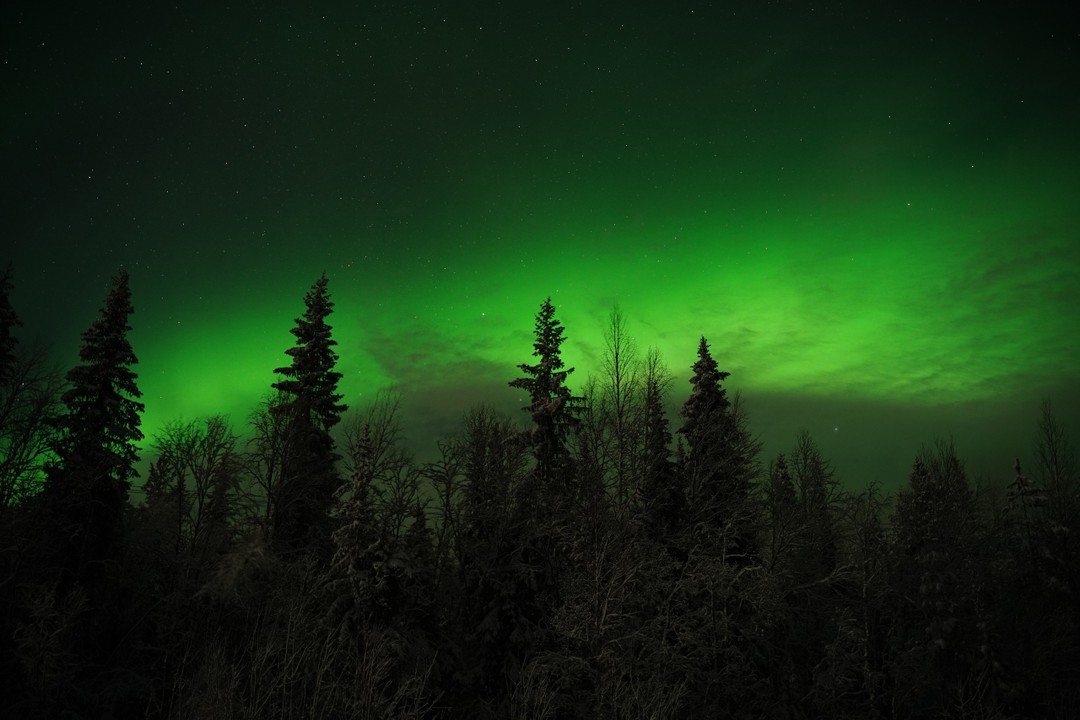Хочу поблагодарить Владимира за организацию потрясающего тура и удачную охоту на Северное сияние. Нам сильно повезло,