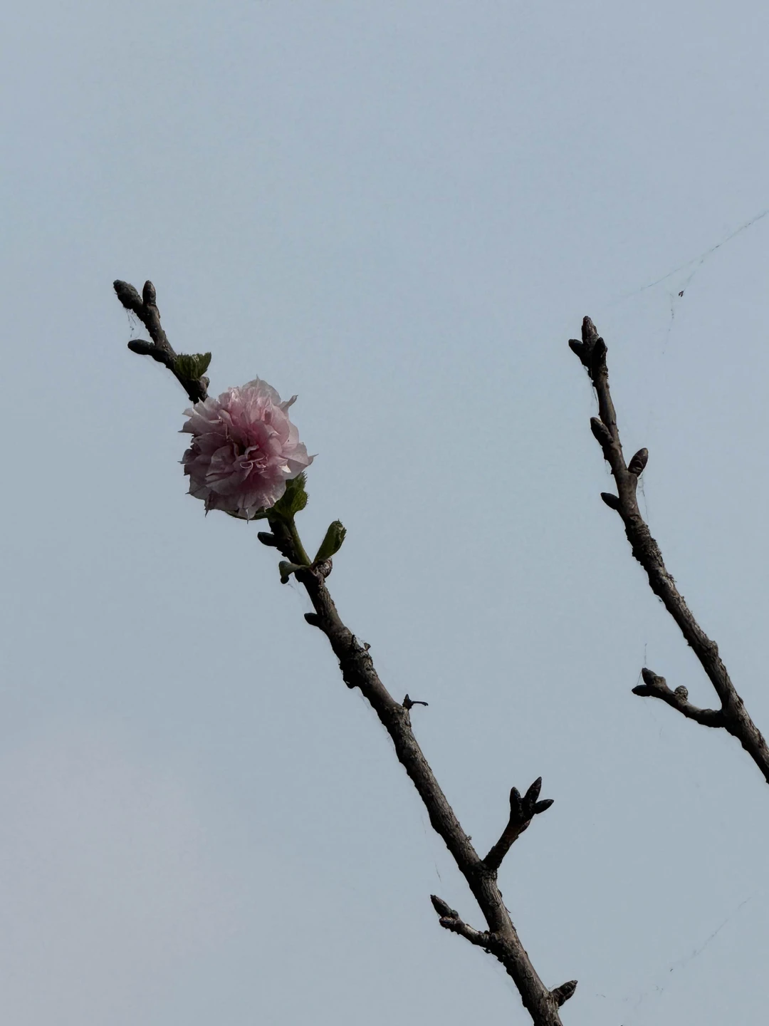 Отличная организация, гид Ася говори по-русски хорошо, дает много интересной информации. Экскурсия замечательная!