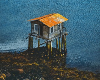 Морская прогулка в поиске китов, дельфинов и косаток