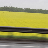 Фото путешественника — 4