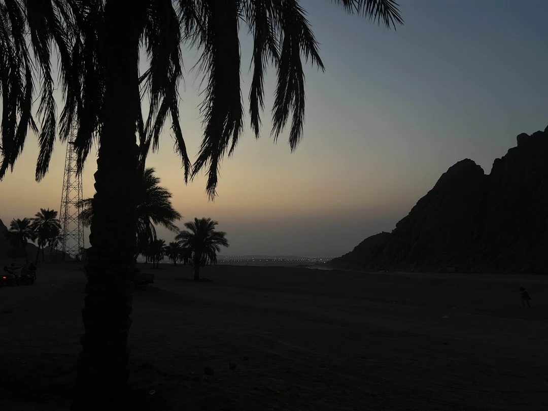 Очень рекомендую эту экскурсию, время выбрано как нельзя лучшее, отличный индивидуальный подход с вниманием к деталям