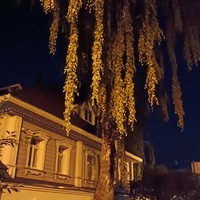 Фото отзыва 3: экскурсия "Мистическая Коломна: вечерняя прогулка по кремлю"