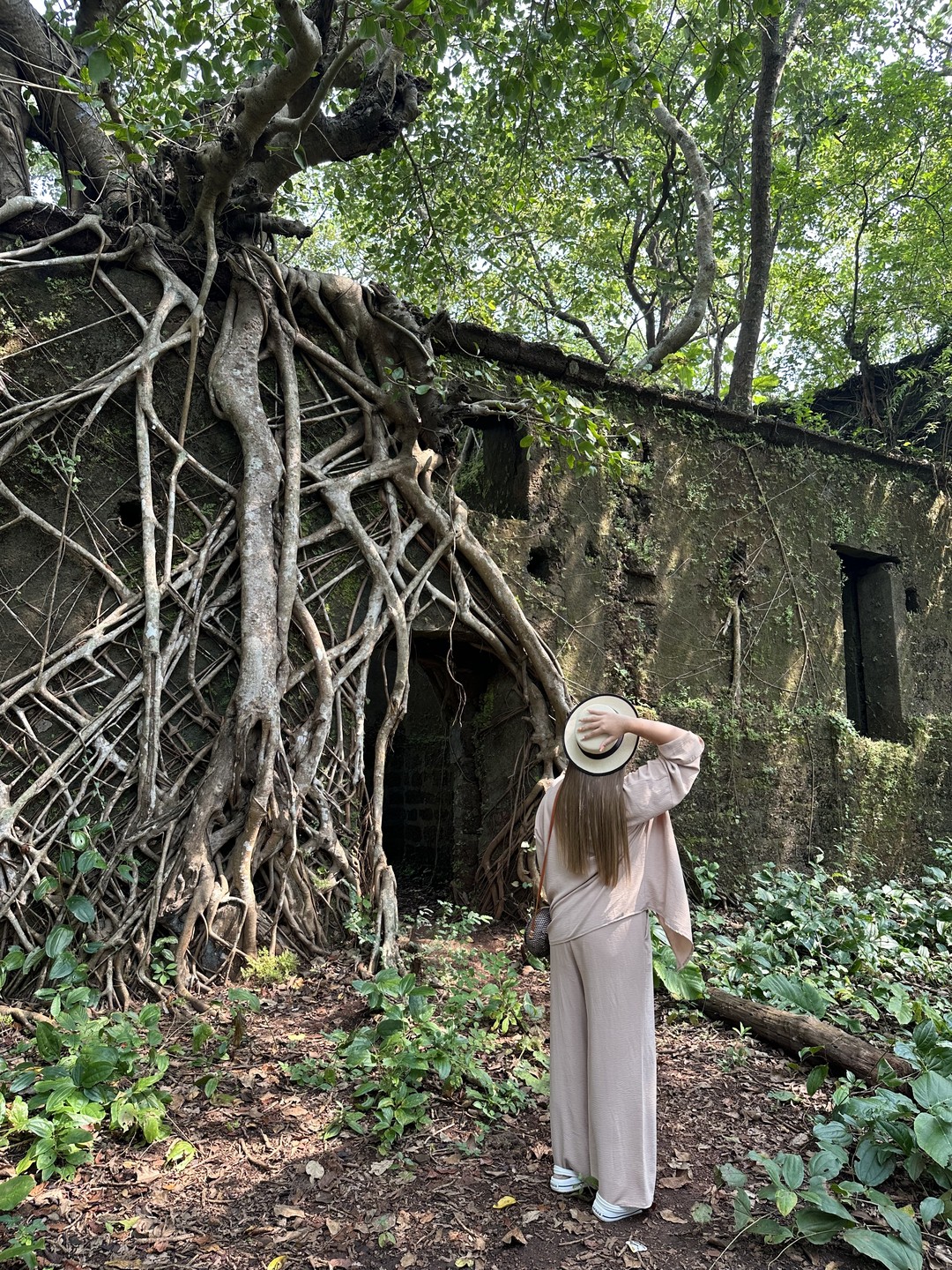 Экскурсия супер! Очень все шустро, без затяжных прогулок в жару. Красота необыкновенная. Нам очень повезло: и