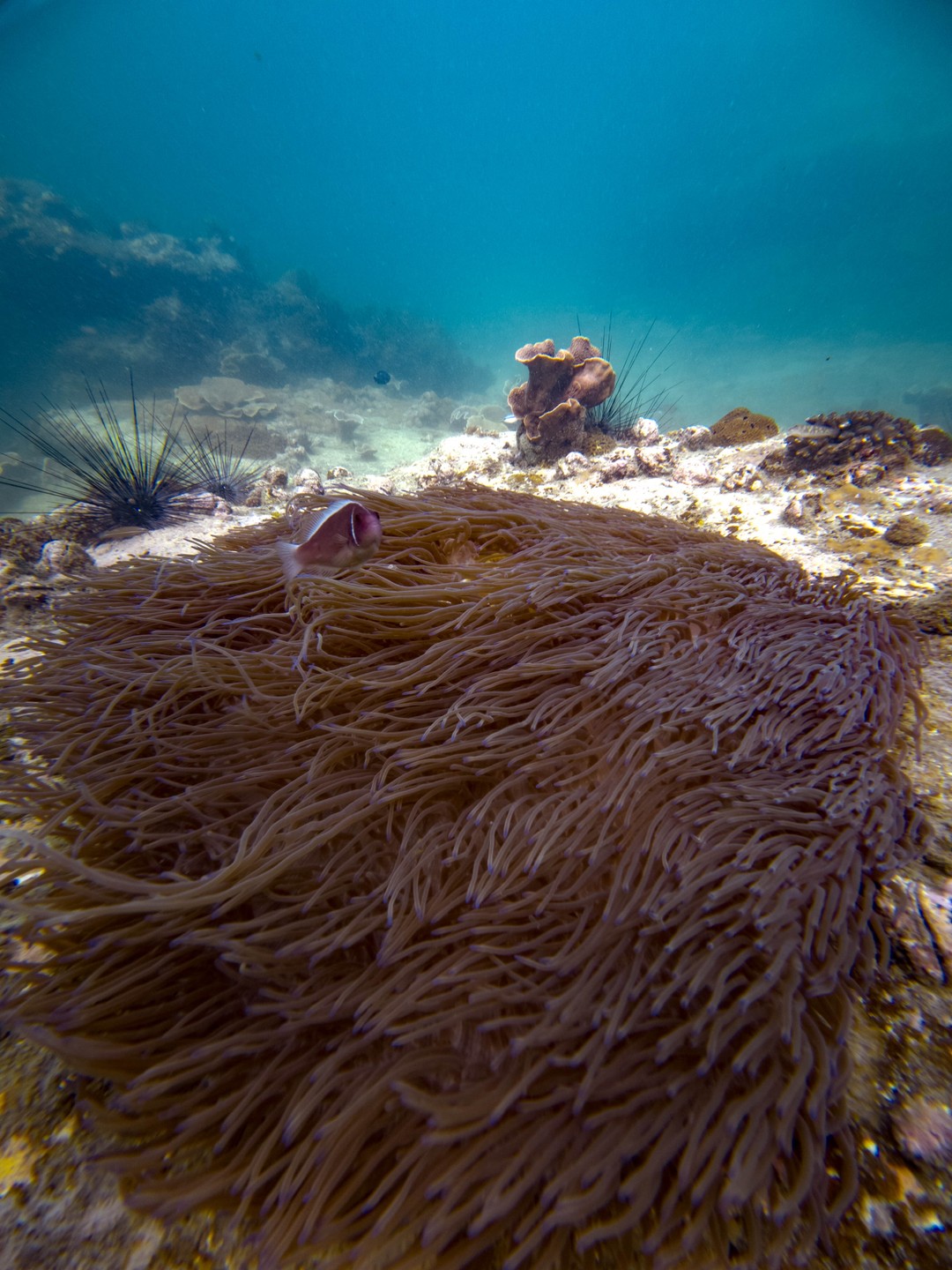 Очень понравилось, рекомендую. Не передаваемые чувства. Наш гид Роман, низкий поклон за терпение… одно дело видеть по ТВ и другое своими глазами
