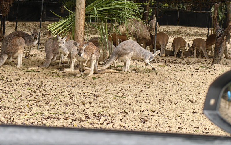 Экскурсия очень понравилась