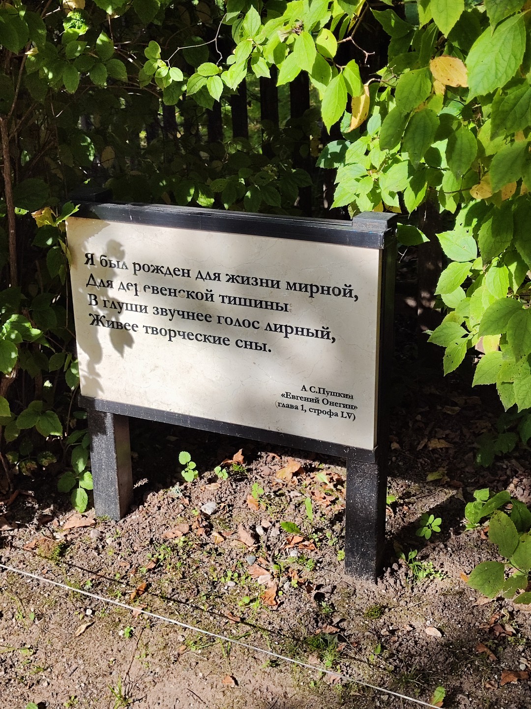 Павел великолепно знает материал, прекрасно читает стихи, а природа вокруг просто поражает воображение! Понимаешь, что чувствовала
