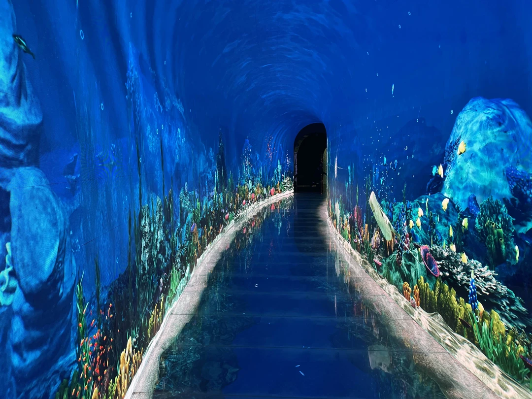 Великолепно! Экскурсия превзошла все ожидания! Но надо иметь силы: вместо 2 часов ходили 4, попали в