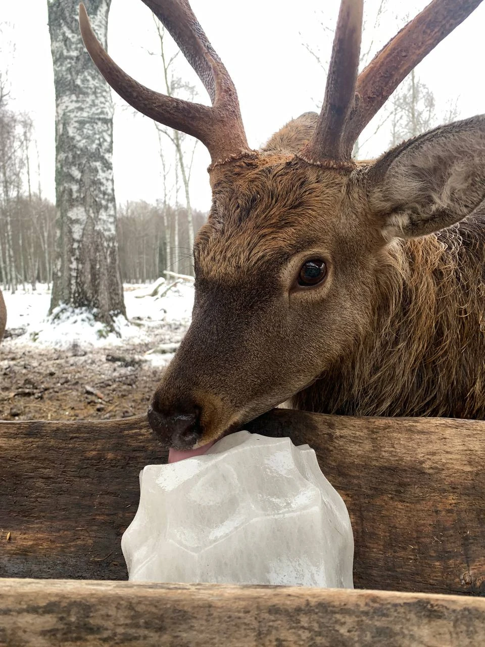 Выражаю огромную благодарность Анне и Алексею! Все было организовано на высшем уровне, с заботой о гостях