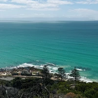 Фото отзыва 3: экскурсия "ЮАР — Кейптаун: мыс Доброй Надежды, пингвины и захватывающий Чапменс-Пик"