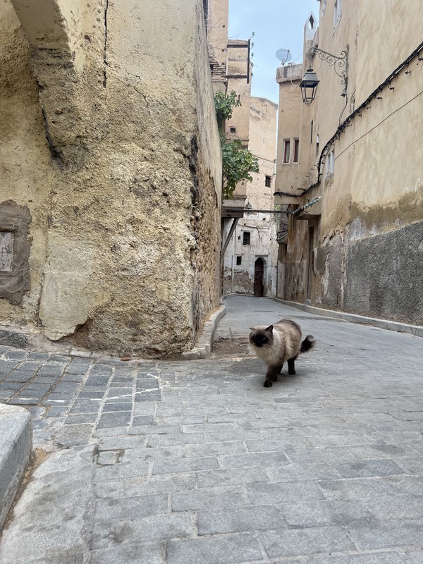 Фес - первая столица Марокко