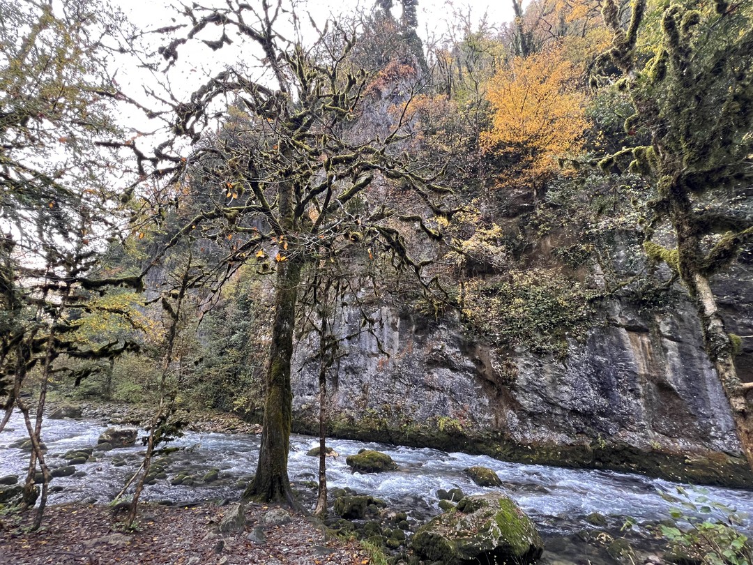 На Рицу - на кабриолете (Настасья)