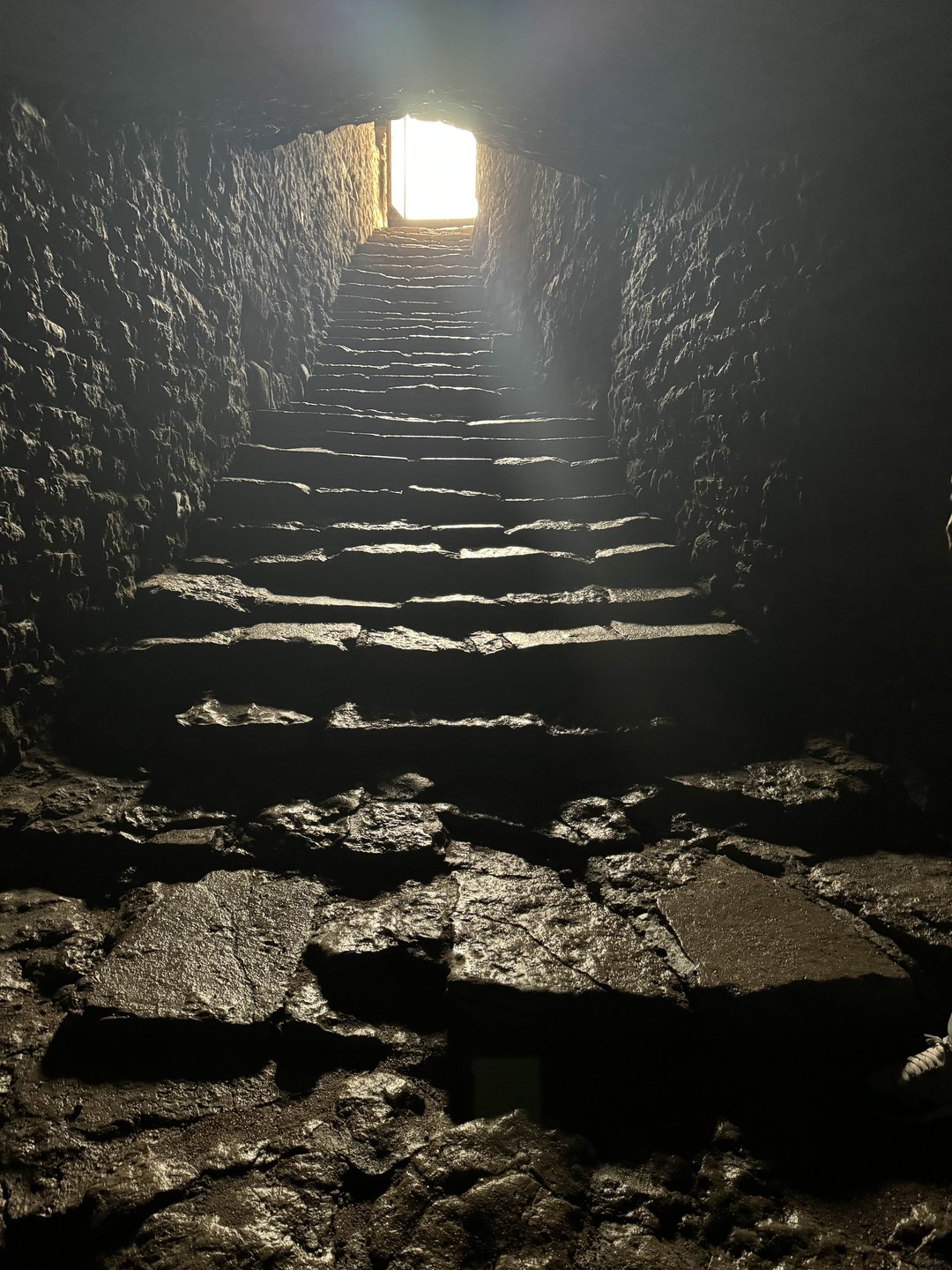 Псков, Изборск и Печоры: групповая авто-пешеходная экскурсия (Инна)