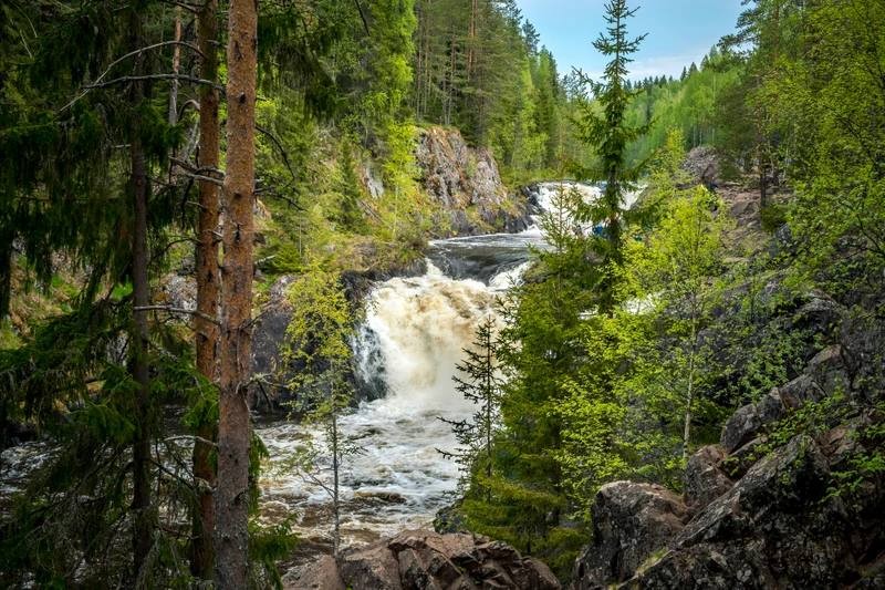 Фото авторского тура "Водная стихия Карелии: от Онеги до Ладоги с проживанием в загородном комплексе"