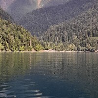 Фото отзыва 5: экскурсия "Путешествие на озеро Рица из Гагры"