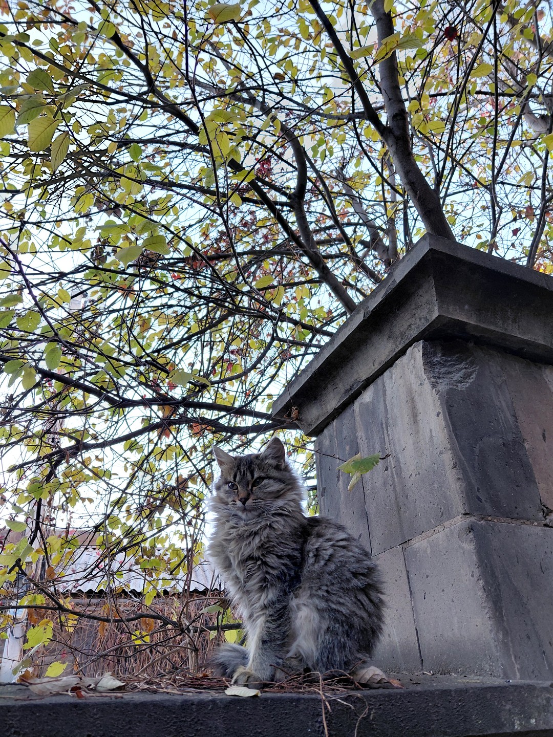 В культурную столицу Армении - Гюмри обязательно езжайте с Багратом. Там вы не только прогуляетесь по