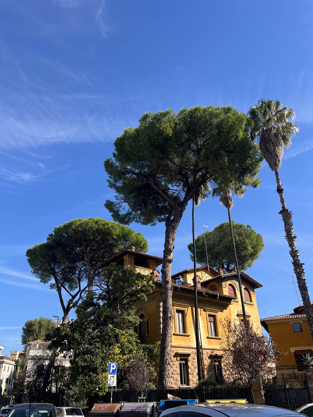 Рекомендую эту экскурсию всем, кто хочет увидеть не только знаменитые достопримечательности, но и почувствовать настоящий дух