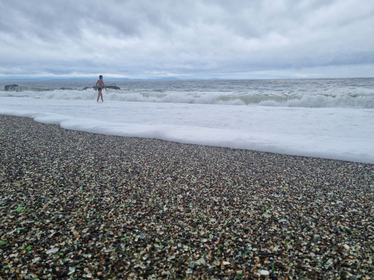 Приморский сафари-парк, бухта Стеклянная и мыс с двухтысячной купюры. Индивидуальная экскурсия (13/19)